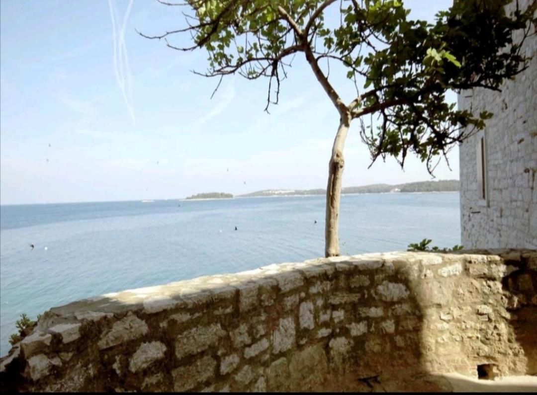 Apartment Martin - 10 Mt To The Beach Rovinj Buitenkant foto